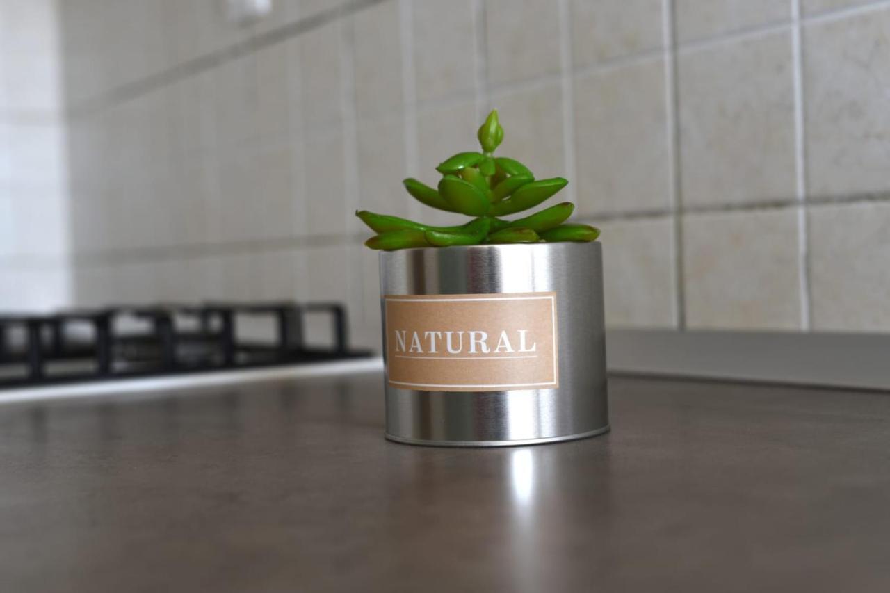 Apartman Vinika ザダル エクステリア 写真