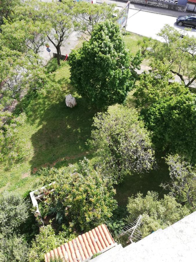 Apartman Vinika ザダル エクステリア 写真
